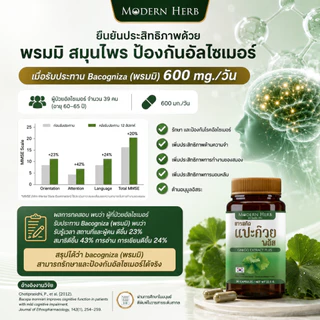 Modern Herb Ginkgo Extract Plus สารสกัดแปะก๊วย