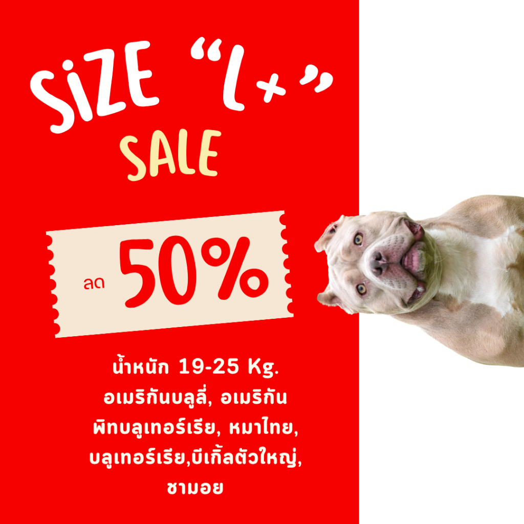 Size L+ (SALE 50%) ทุกรายการ *สินค้ามีตำหนิ ชุดกันขนร่วง