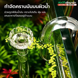 Inflow Outflow Glass Pipe Lilly /Spin/Skimmer ท่อแก้วตู้ไม้น้ำ ดีไซน์หรู น้ำไหลสวยตู้ดูพรีเมียม