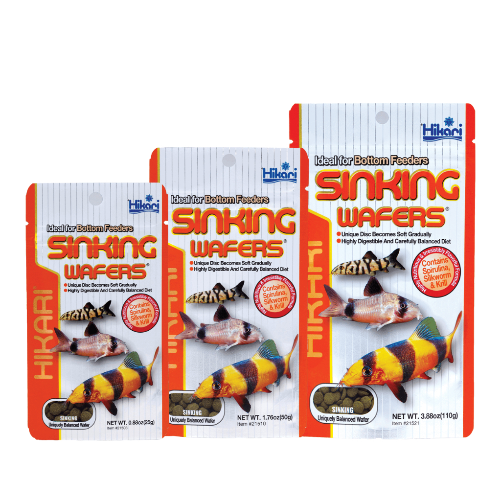 อาหารปลา เม็ดจม Hikari Sinking Wafers สำหรับปลาพื้นตู้ ไม่ทำให้น้ำขุ่น