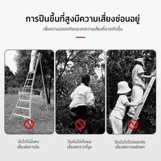 ที่สอยผลไม้ สามารถถอดออกได้ ตะกร้าลึก ที่สอยผลไม้ ฟองน้ำในตัวป้องกันผลไม้บอบช้ำ
