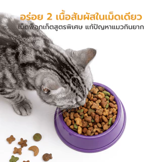 WHISKAS วิสกัส อาหารเม็ดแมวโต 3kg อาหารแมว ยอดนิยม แมวกินง่าย Petus Kingkaew