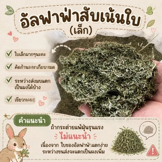 🎉best 1st🎉 อัลฟาฟ่าสับ ออสเตรเลีย ฝุ่นน้อย 5กก ขายดี
