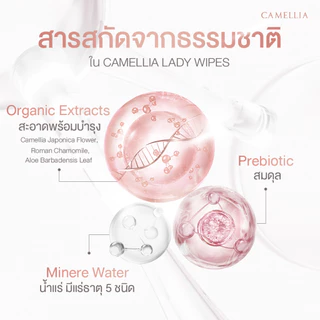 คุ้มกว่า[5/10ซอง] ทิชชู่เปียกทำความสะอาดจุดซ่อนเร้น คามิเลีย Camellia Lady wipes มีน้ำยาอนามัยสำหรับน้องสาว