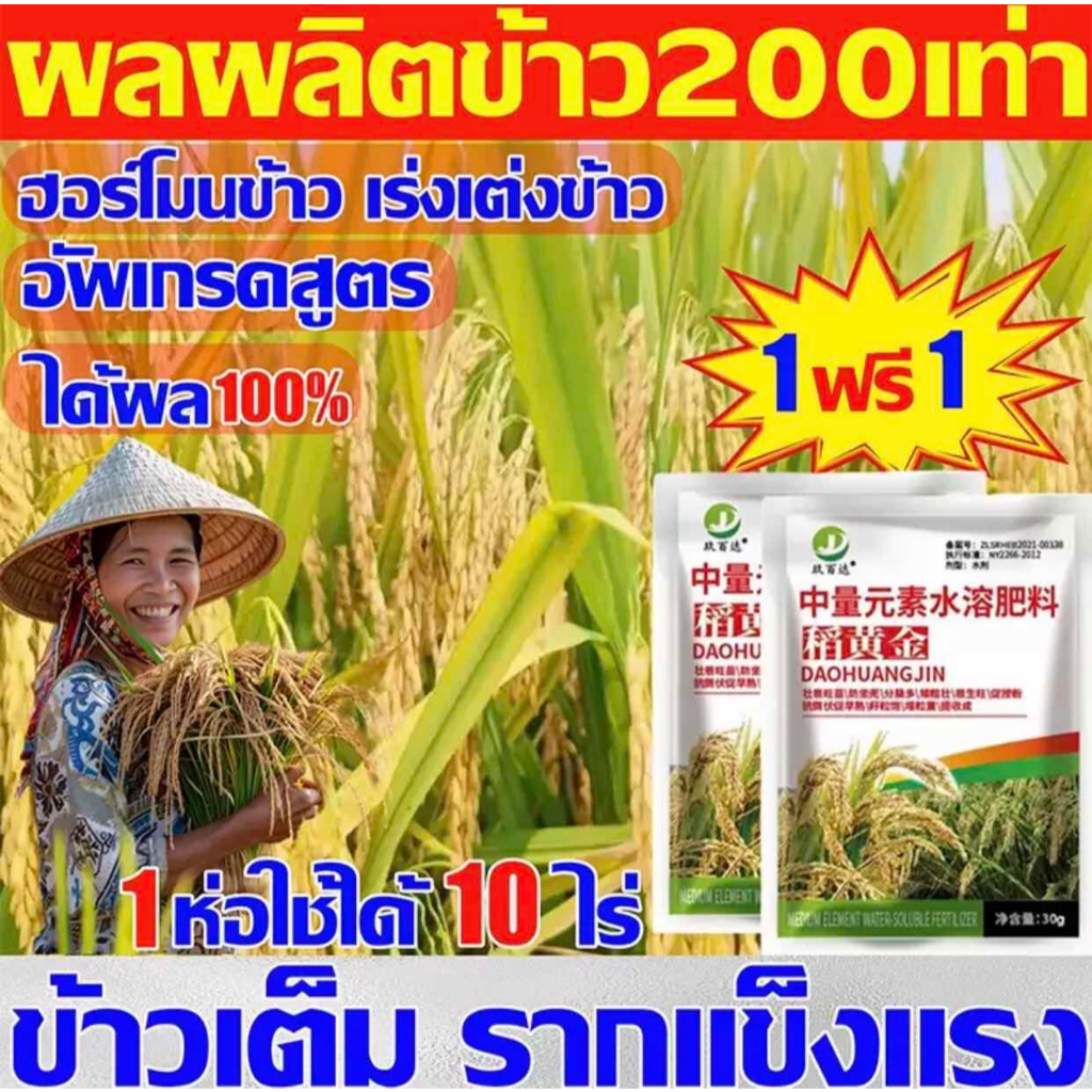🔥【ซื้อ 1 แถม 1】 เพิ่มผลผลิต 100 เท่า ฮอร์โมนข้าวเร่งแต่ง ป้องกันแมลงข้าวและข้าวตาย ฉีดง่าย เห็นผลไว
