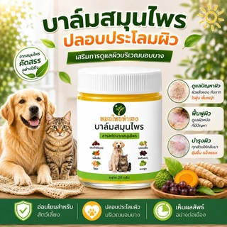 หมอไทยทำเอง บาล์มสมุนไพรดูแลผิวหนังสัตว์เลี้ยง ปลอบประโลมผิวที่มีปัญหา สำหรับสุนัข แมว 20-50 กรัม