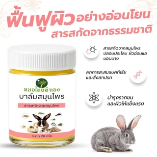 บาล์มสมุนไพรกระต่าย ดูแลผิวหนังสัตว์เลี้ยง ที่มีปัญหา 20 กรัม กระรอก แกสปี้ แฮมเตอร์ หมอไทยทำเอง