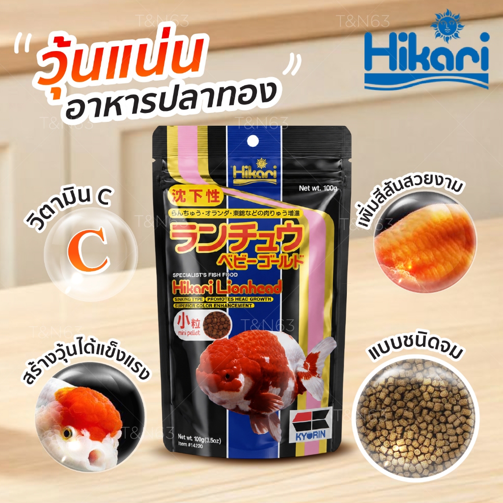 อาหารปลาทอง Hikari Lionhead ชนิดจม เพิ่มสีสัน แข็งแรง วุ้นสวย