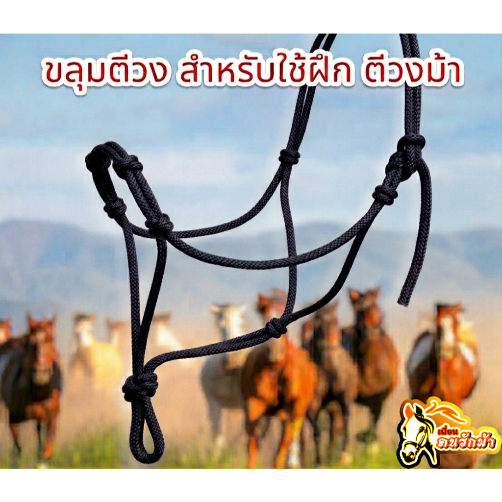 ขลุมตีวงม้า ขุมฝึกม้า เชือกจูงม้า รุ่นหนาพิเศษ 8 มิล สำหรับม้าทุกขนาด ทุกสายพันธุ์