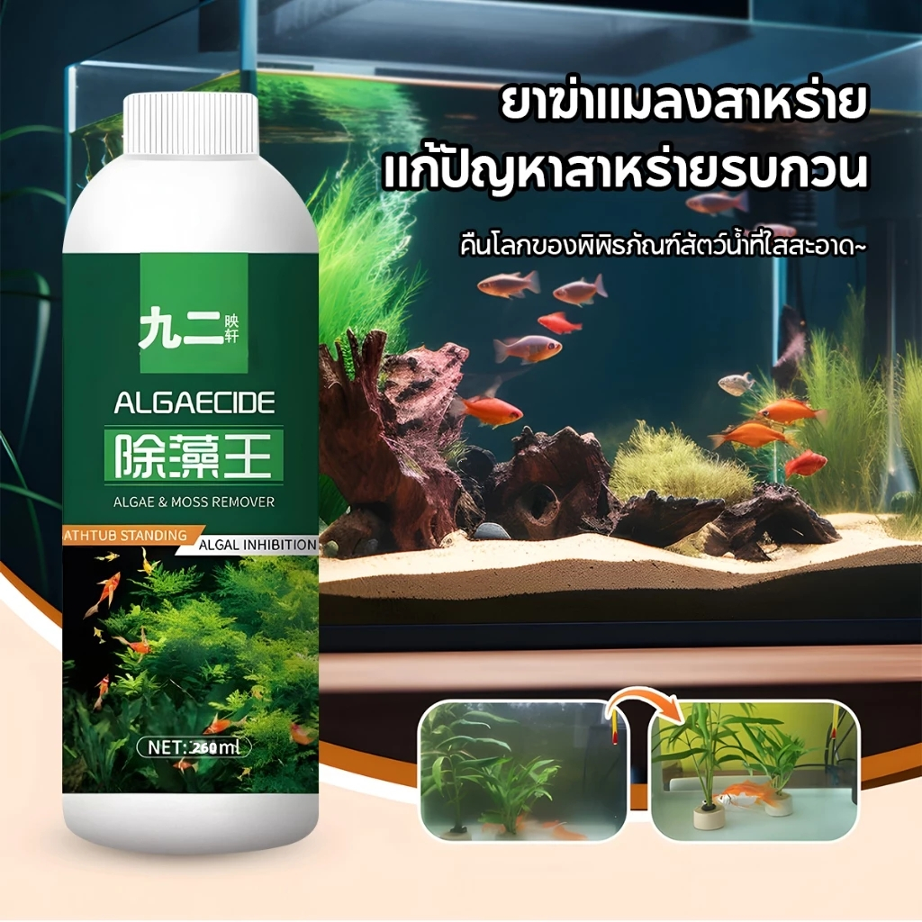 ปลอดภัยไม่ทำร้ายปลาน้ำยากำจัดตะไคร่น้ำ เหมาะสำหรับปลาสวยงามทุกชนิด เพียวริฟายน้ำ ยาฆ่าเชื้อปลา น้ำยากำจัดตะไคร่น้ำ เสร