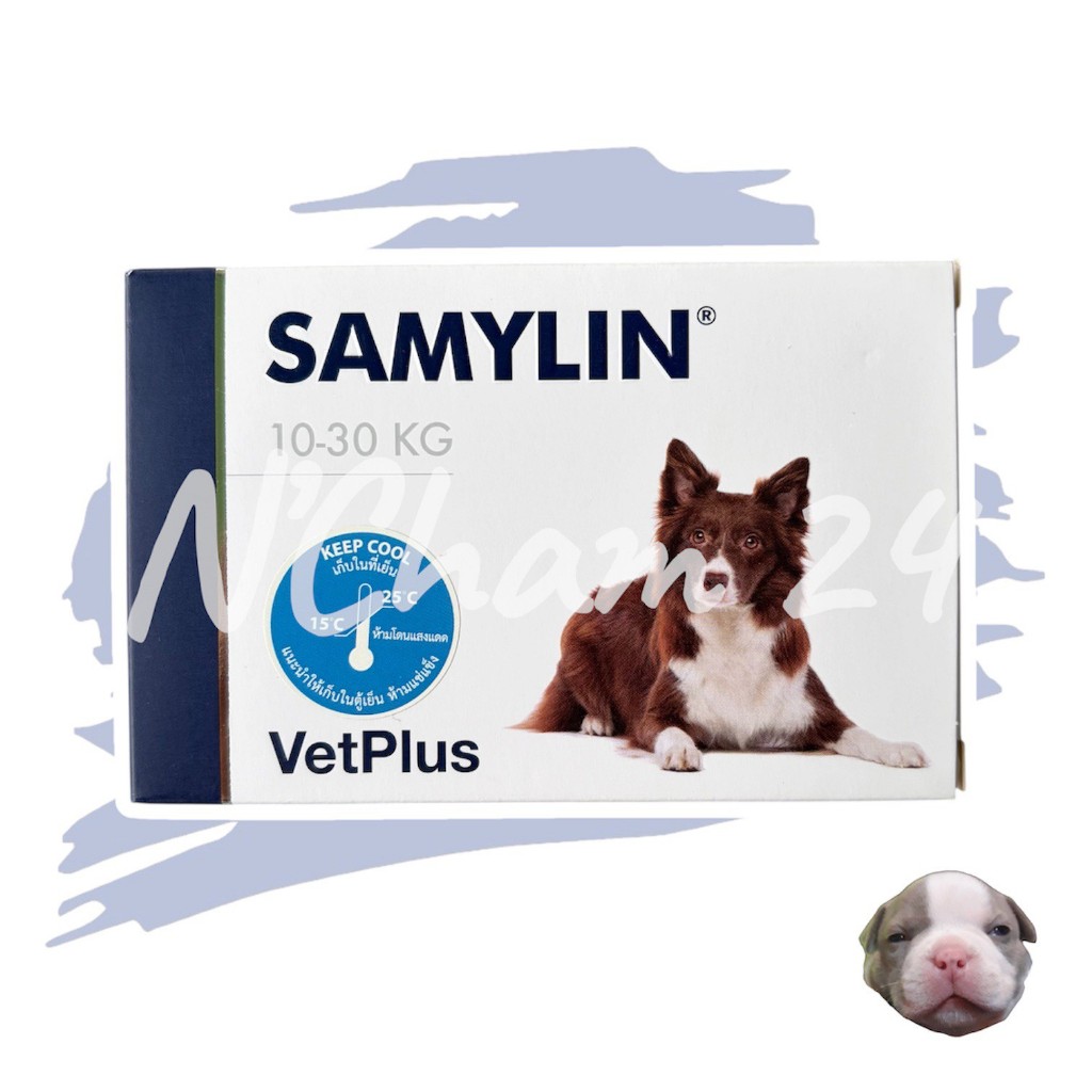 Samylin Medium Breed Tablets อาหารเสริมโปรตีน สุนัขพันธุ์กลางชนิดเม็ด  1 กล่อง บรรจุ 30 เม็ด