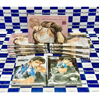 [พร้อมส่ง / ส่งด่วนได้] FINDER ภาพลวงรักผ่านเลนส์กล้อง เล่ม 13