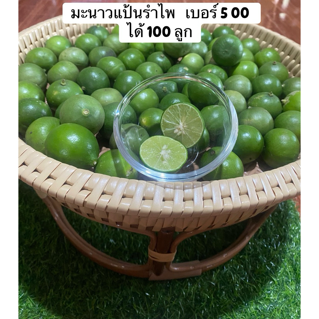 มะนาวแป้นรำไพแท้หอมเปลือกบางน้ำดีได้ (100 ลูก)🍋🍋 เบอร์ 500