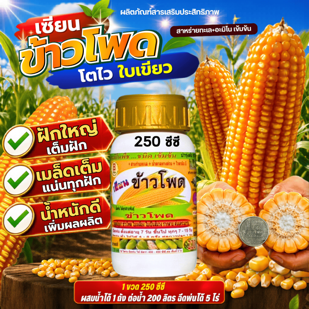 เซียนข้าวโพด ขนาด 250 ซีซี ใช้ฉีดพ่นทางใบ บำรุงต้นโตไว ข้าวโพดฝักใหญ่ ฝักโต เมล็ดเต็มฝัก ใช้ได้กับข้าวโพดทุกสายพันธ์