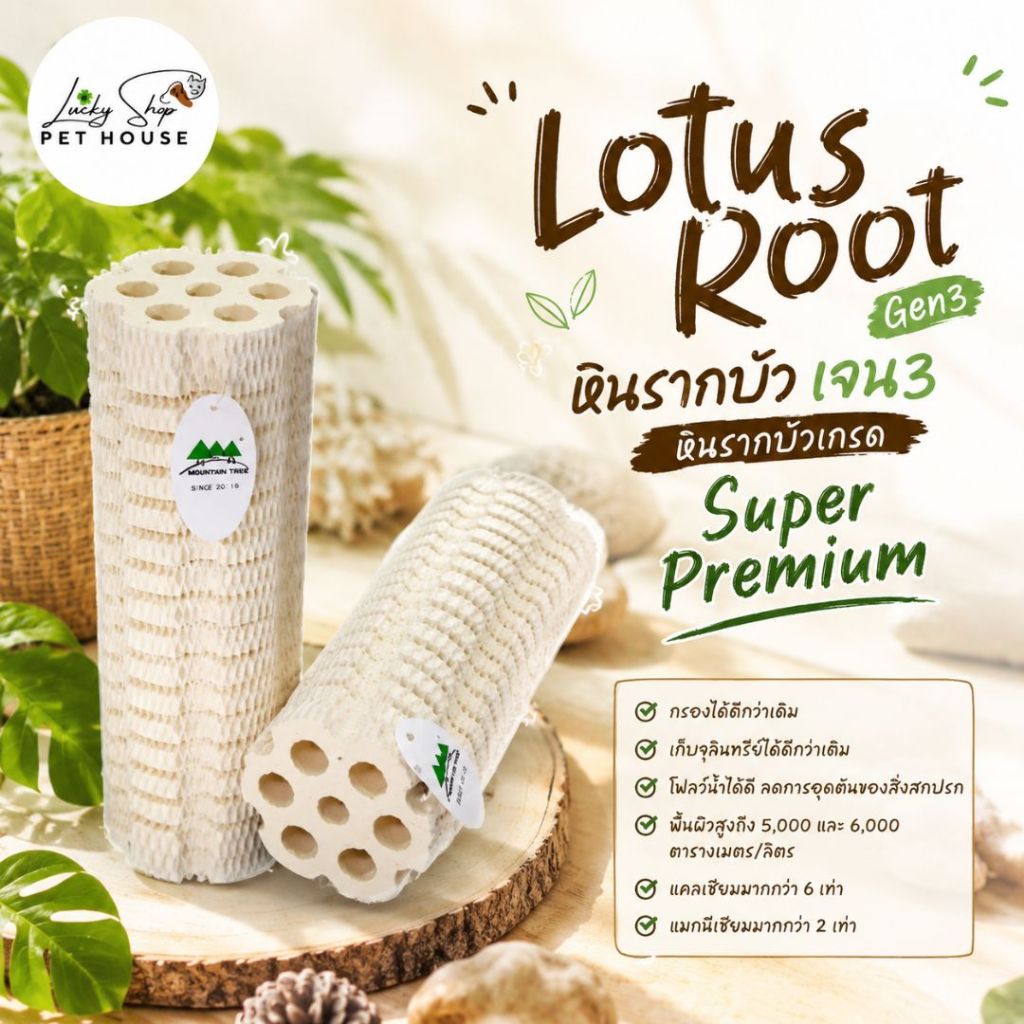 เมาเท่นทรี เจน3 MOUNTAIN TREE 🫧Lotus Root Gen3 หินรากบัว เจน3 หินรากบัวเกรด Super Premium