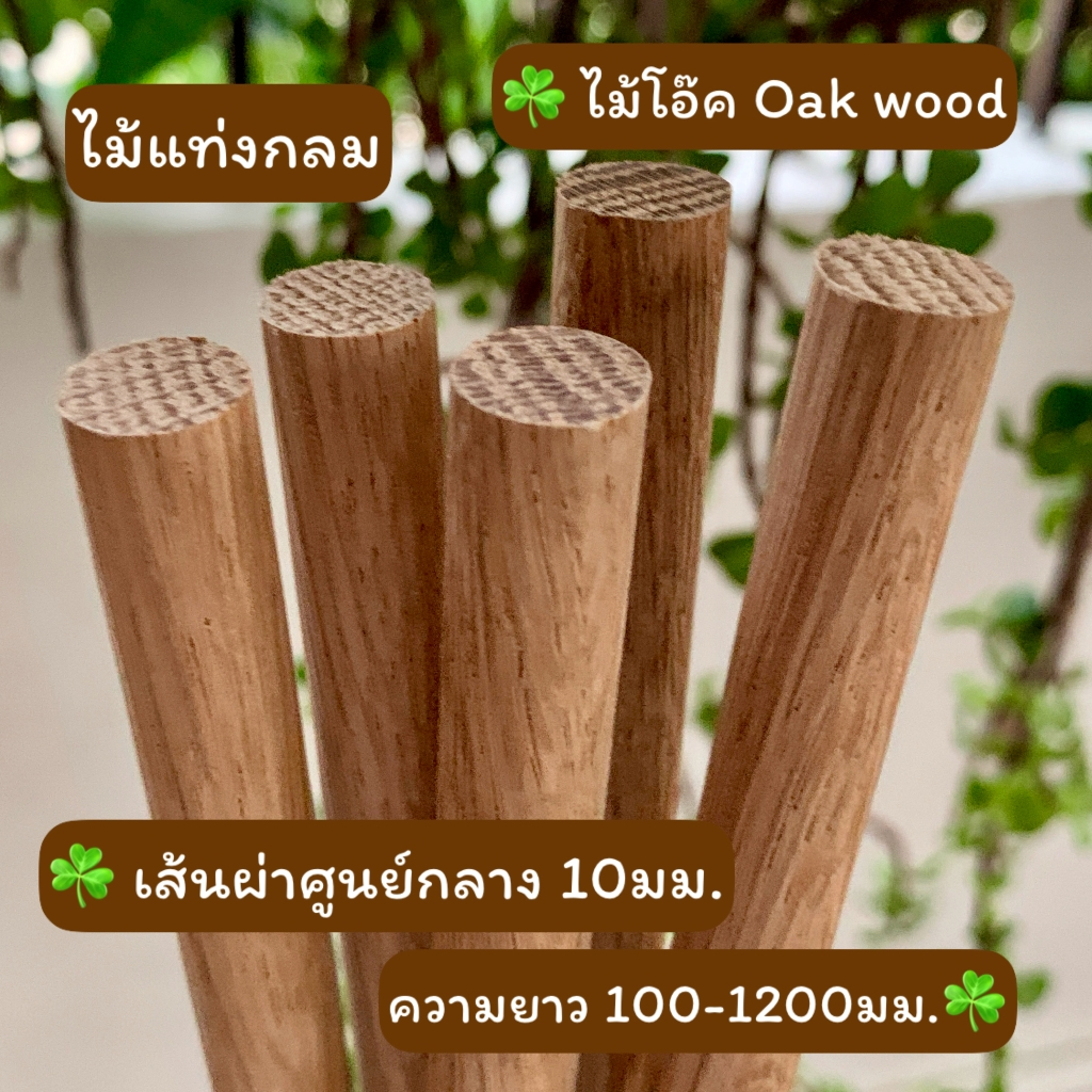 ไม้แท่งกลม ไม้โอ๊ค เส้นผ่าศูนย์กลาง 10 มม.(1 ซม.) ความยาว 100มม.-1000มม.สำหรับงานเฟอร์นิเจอร์ งานไม้ DIY