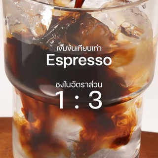 Cold Drip Concentrate กาแฟสกัดเย็นเข้มข้นพิเศษ เทียบเท่า Espresso (ถุงขนาด 1 ลิตร)