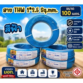 สายไฟ THW 1×2.5 ความยาว 100 เมตร สายเดี่ยวทองแดง (ไม่ระบุยี่ห้อ)