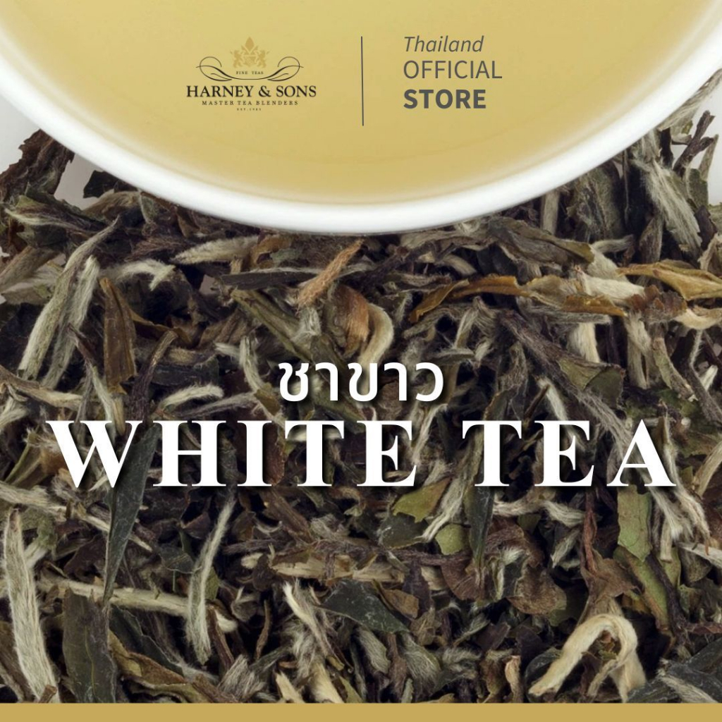 [Harney&Sons] | ชาขาว (White Tea) - นุ่มนวล อ่อนโยน มอบความสงบทางใจในวันที่วุ่นวายด้วยรสสัมผัสที่เรียบง่าย