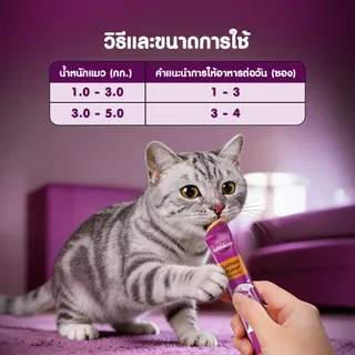 [6 แพ็ค (24 ซอง)] WHISKAS Creamy วิสกัส ครีมมี่ ขนมแมวเลีย เลือกรสชาติได้