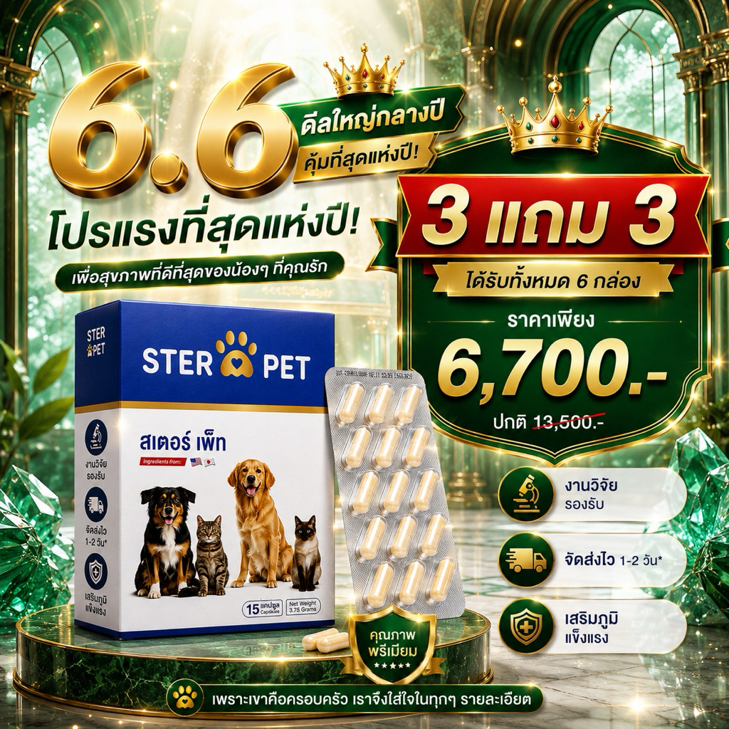STER PET🔥6 BOX 🐶🐈สำหรับน้องๆ ตัวโตพิเศษ ลดเนื้องอก แผลปะทุ และป้องกันมะเร็ง ของแท้ พร้อมดูแล