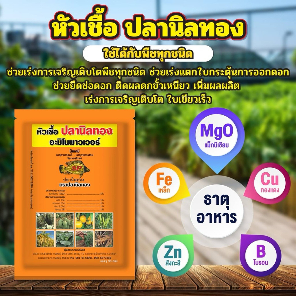 หัวเชื้อปลานิลทอง (10 ซอง แถม 1 ซอง) ใบเขียวเข้ม ต้นสมบูรณ์แข็งแรง พ่นได้ทุกระยะ ใช้ได้กับพืชทุกชนิด