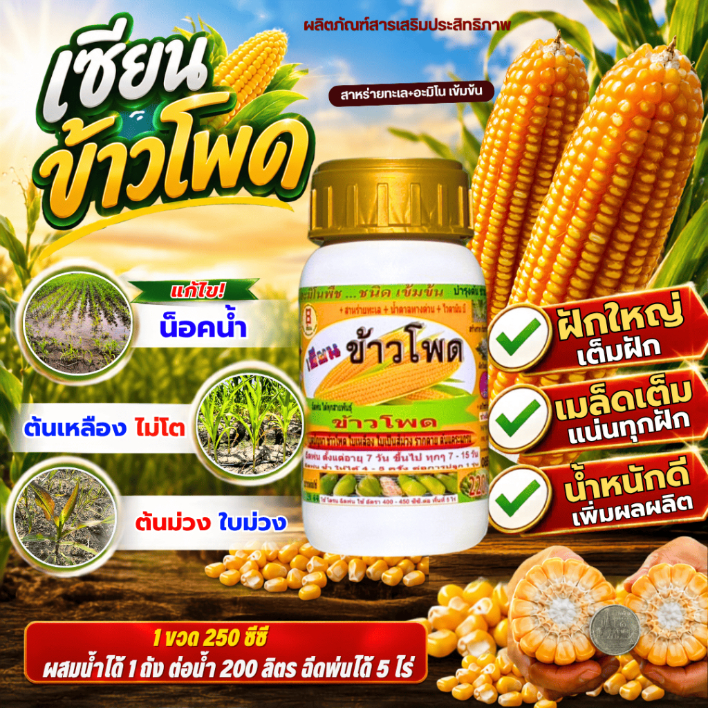 เซียนข้าวโพด ขนาด 250 ซีซี บำรุงต้นโตไว ข้าวโพดฝักใหญ่ ฝักโต เมล็ดเต็มฝัก ใช้ได้กับข้าวโพดทุกสายพันธ์ุ
