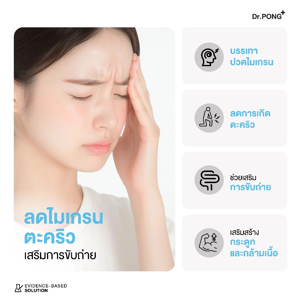 [ช้อปครบ! รับฟรี] Dr.PONG Mag 350 mg Magnesium แมกนีเซียม หลับง่ายผ่อนคลาย ลดตะคริว เสริมสร้างกระดูกและกล้ามเนื้อ thumbnail 5