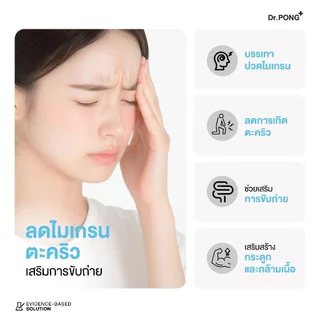 [ช้อปครบ รับฟรี!] Dr.PONG Magnesium รวม 3 สูตร แมกนีเซียม บำรุงสมอง หลับดี ผ่อนคลายกล้ามเนื้อ อาหารเสริมขายดี