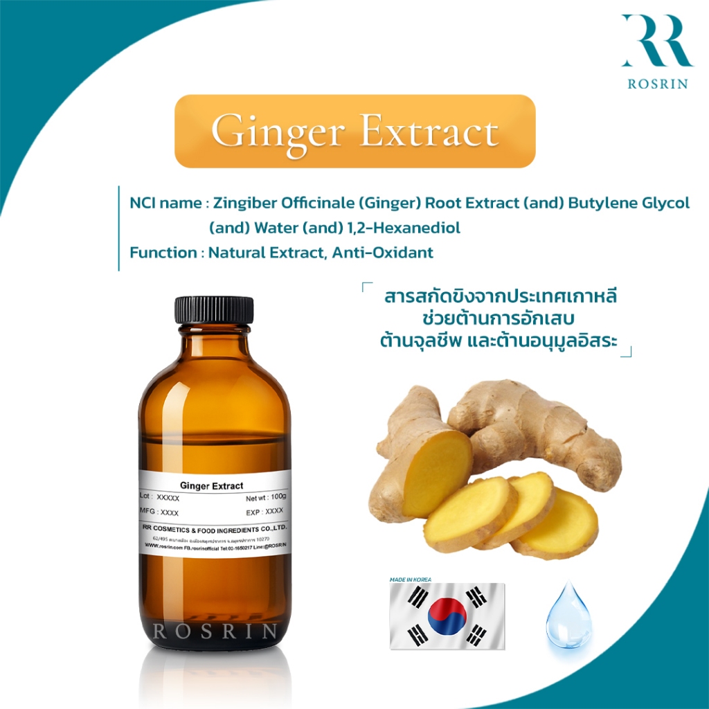 สารสกัดขิง (Ginger Extract) ขนาด 25g - 100g