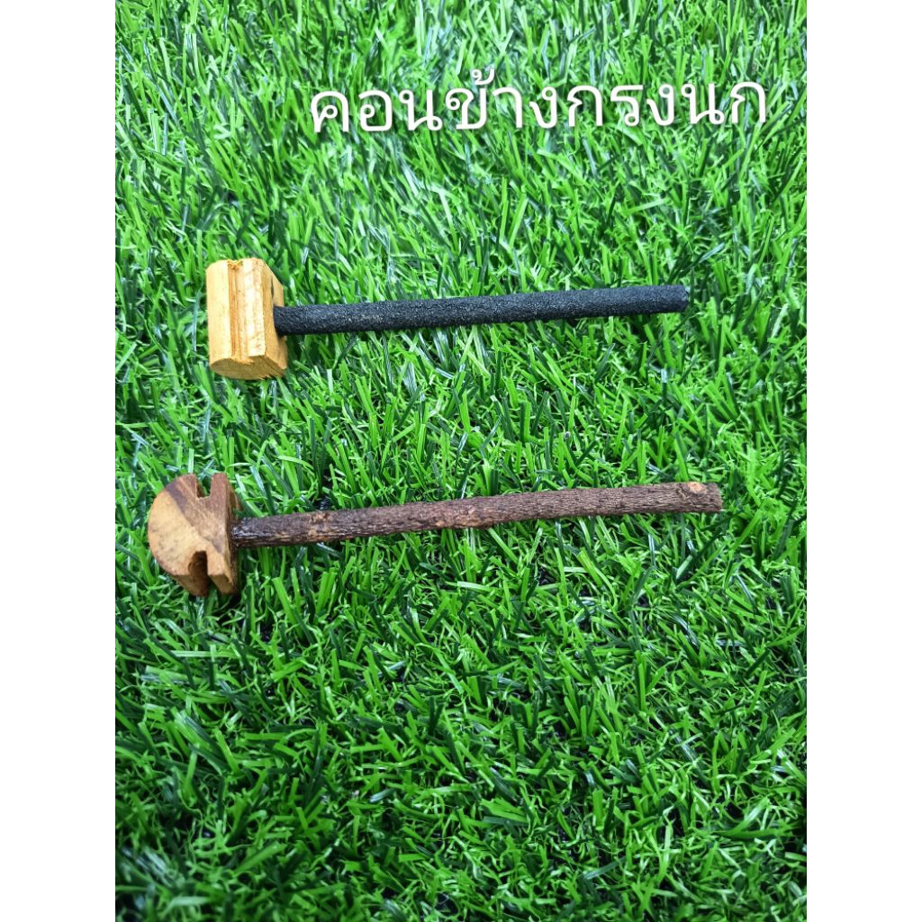 คอนข้าง นกชมพูสวน นกกินปลี นกขนาดเล็ก 2ชิ้น
