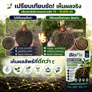 BioFix Root Boost จุลินทรีย์ไมคอร์ไรซ่า (Mycorrhiza) สูตรเข้มข้น เร่งราก ฟื้นต้น ดูดซึมดี ไมคอร์ไรซ่า 100 g.