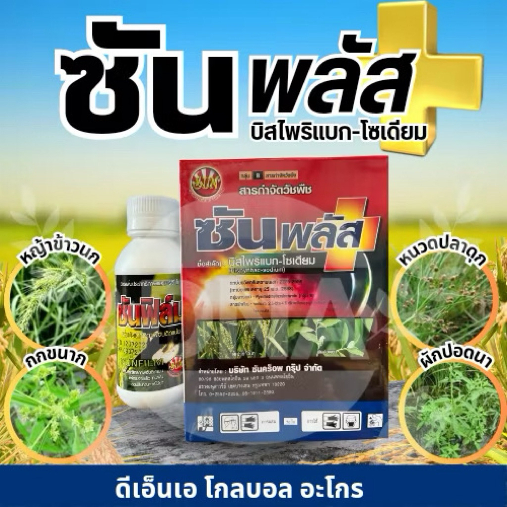 < ยกลัง 60ชุด> ซันพลัส+ซันฟิล์ม กำจัดหญ้าในนาข้าว ยาฆ่าหญ้าในนาข้าว ยาฆ่าหญ้าใบแคบ