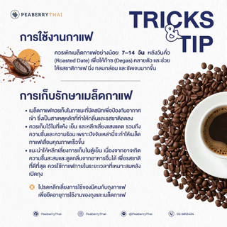Pacamara P3 Blend 500g เมล็ดกาแฟอาราบิก้า 100% คั่วเข้ม ขนาดบรรจุ 500 กรัม