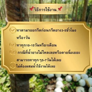 นาโนน วิน ทัช ฝาเขียว สูตรรักษาหน้ายาง 1000 ซีซี (แถมแปรงฟรีทุกออเดอร์)
