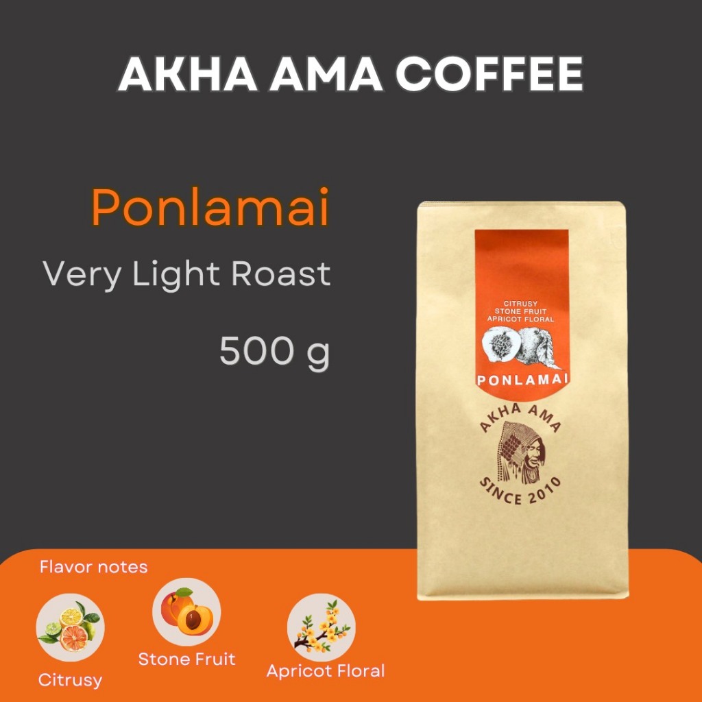 AKHA AMA COFFEE กาแฟ อาข่า อ่ามา : PONLAMAI เมล็ดกาแฟคั่ว อาข่า อาม่า (คั่วอ่อนมาก 500g)