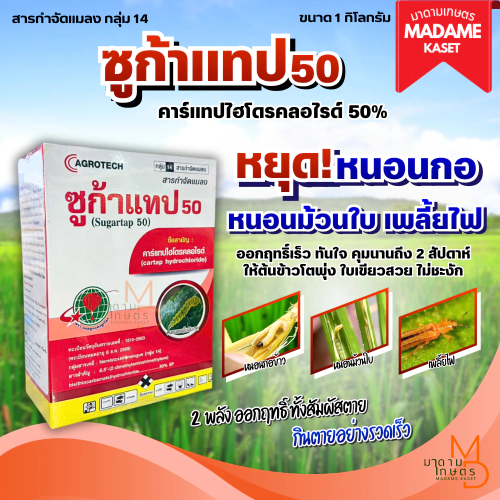 ใหม่! ซูก้าแทป50 (คาร์แทปไฮโดรคลอไรด์ 50% SP) เก่งหนอนกอในอ้อย หนอนกอข้าว หนอนหนังเหนียว 1 กิโลกรัม