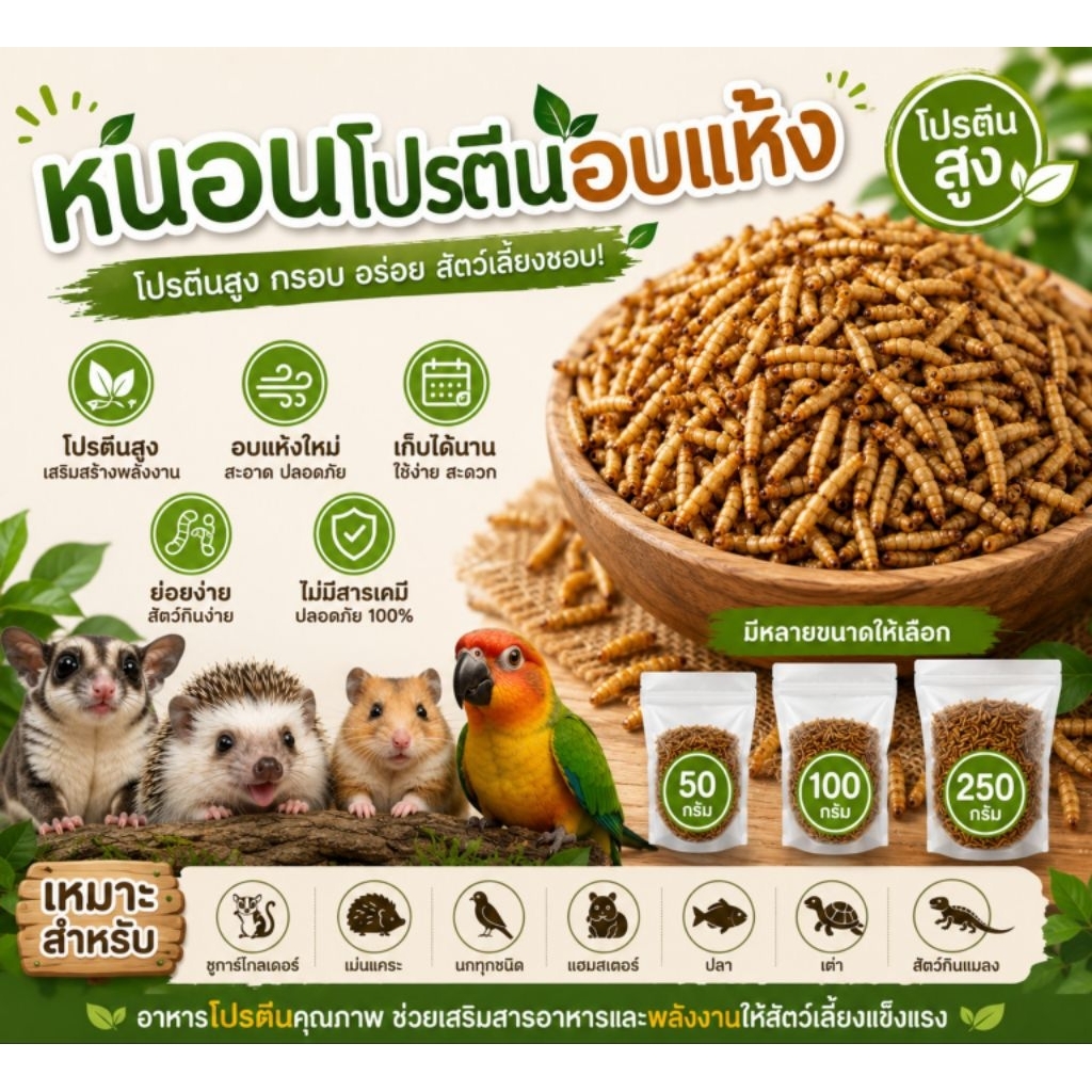 BSF อบแห้ง ส่งด่วน หนอนแมลงวันอบแห้ง ขนาด 50-250