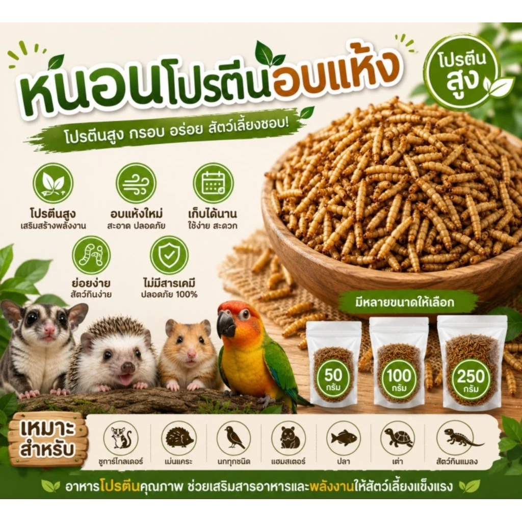 BSF อบแห้ง ✨ส่งด่วน✨หนอนแมลงวันอบแห้ง ขนาด 50-250