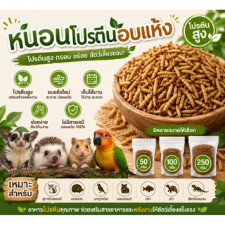 BSF อบแห้ง ✨ส่งด่วน✨หนอนแมลงวันอบแห้ง ขนาด 50-250