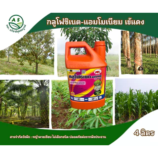 กลูโฟซิเนต-แอมโมเนียมเข้แดง 4 ลิตร ลัง 6 แกลลอน กำจัดวัชพืชไม่เลือกทำลาย ทั้งใบแคบและใบกว้าง[20028]