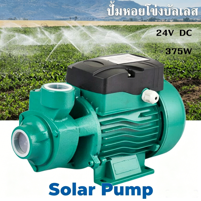 230W 24VDC QB-60 ปั๊มหอยโข่งบัลเลส โซล่าเซลล์ ชุดปั๊มน้ำรดน้ำสวนไร่นา