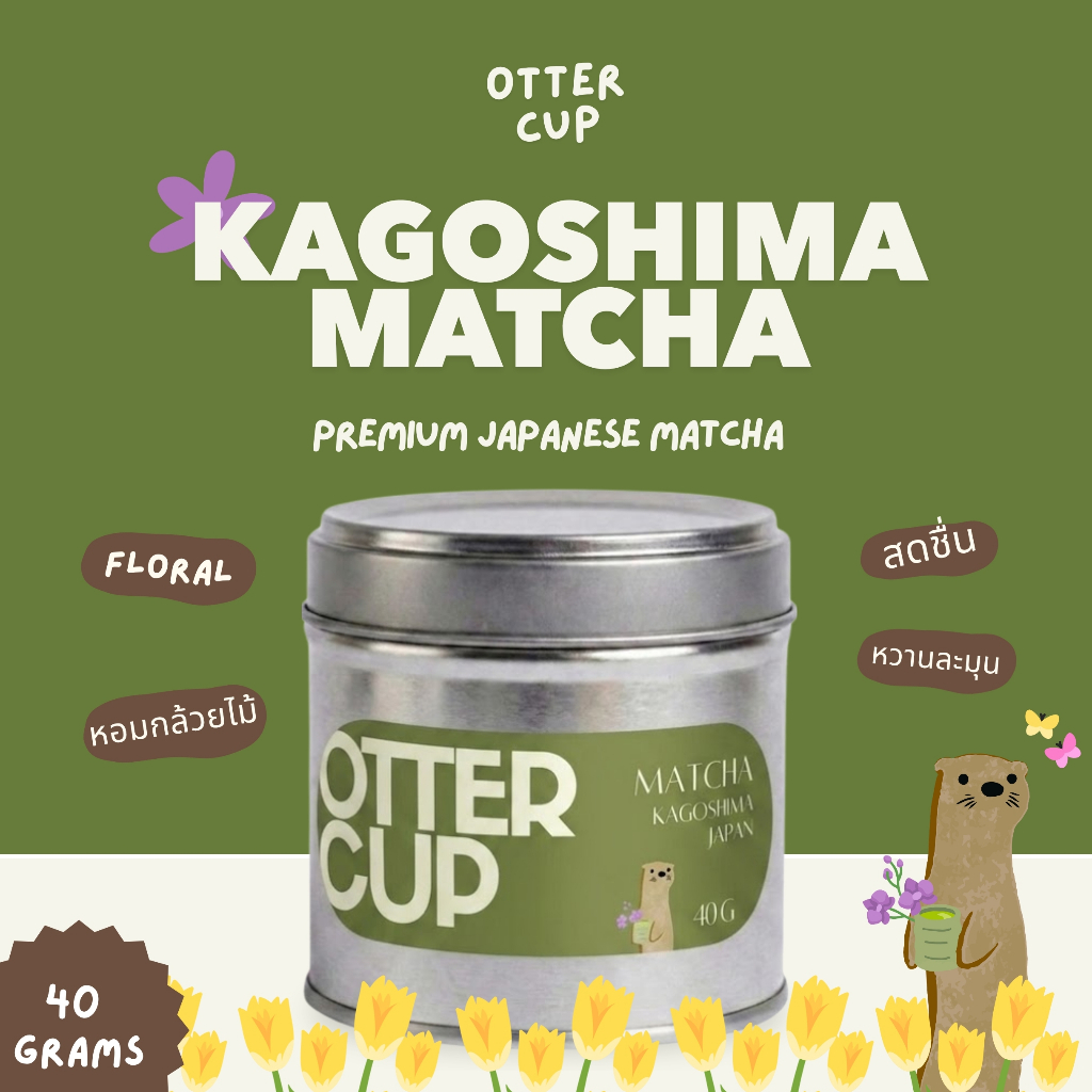 Ottercup ผงมัทฉะ Premium จากญี่ปุ่น Kogoshima Matcha แท้ 100%