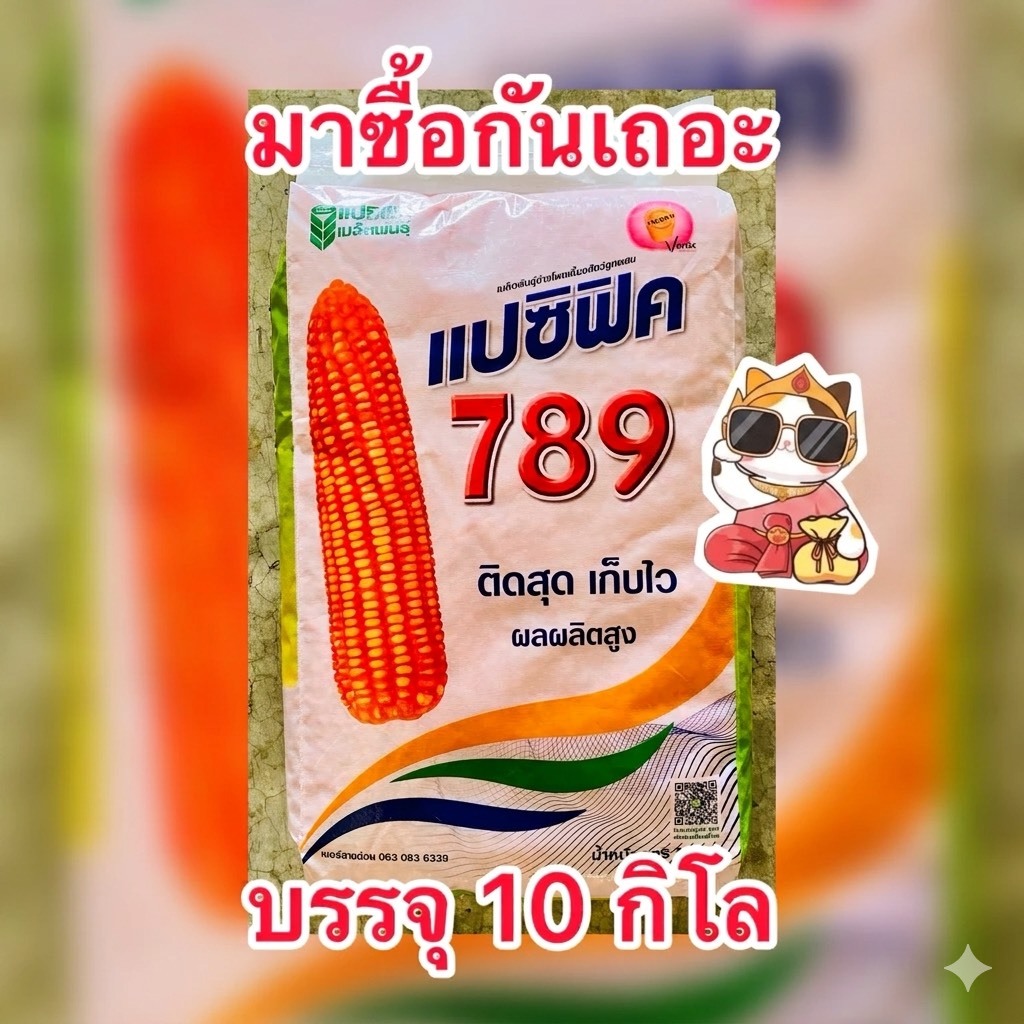 เมล็ดพันธุ์ข้าวโพดเลี้ยงสัตว์ แปซิฟิค789 เมล็ดพันธุ์ข้าวโพดเลี้ยงสัตว์ บรรจุ10kg./กระสอบ