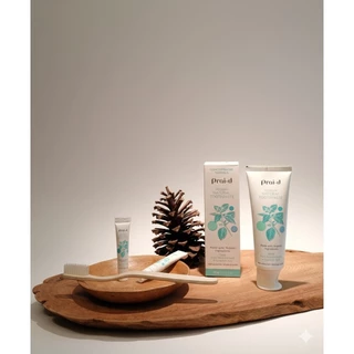 Nature Touch - PRAI-D Toothpaste 100 g.ยาสีฟันสมุนไพร,ใช้เท่าเมล็ดถั่วเขียว,มีฟลูออไรด์,ปากสะอาดสดชื่นตั้งแต่ตื่นจนหลับ