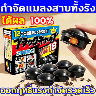 💥ฤทธิ์ยาอยู่ได้นานถึง 1 ปี💥บ้านแมลงสาบ นำเข้าจากญี่ปุ่น 18 อัน ดักแมลงสาบ ไม่มีกลิ่น กับดักแมลงสาบ กำจัดแมลงสาบ