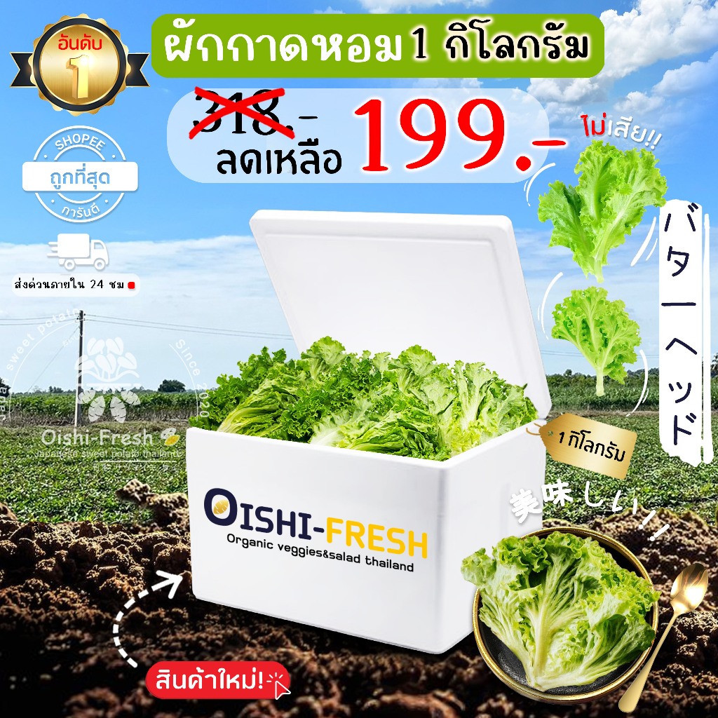 🛒Oishi-Fresh🥬ผักกาดหอม ปลอดสารพิษ 1 กก. รสชาติกรอบ สด ใหม่ ใยอาหารสูง หวานออร์แกนิค เคลมได้ 1-2 วัน
