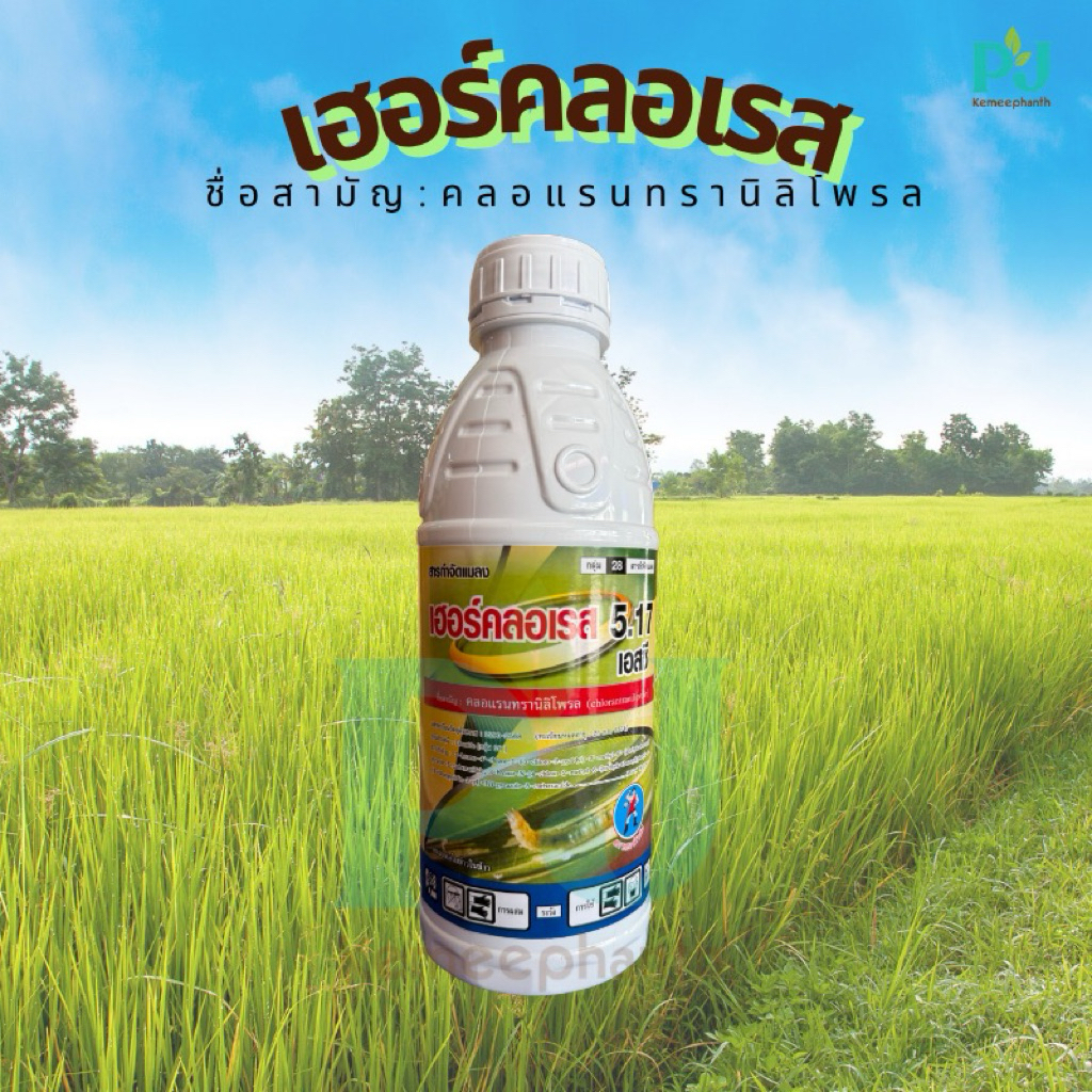 เฮอร์คลอเรส5.17เอสซี #คลอแรนทรานิลิโพรล ขนาด 1 ลิตร สารกำจัดแมลงและหนอนศัตรูพืชประสิทธิภาพสูง
