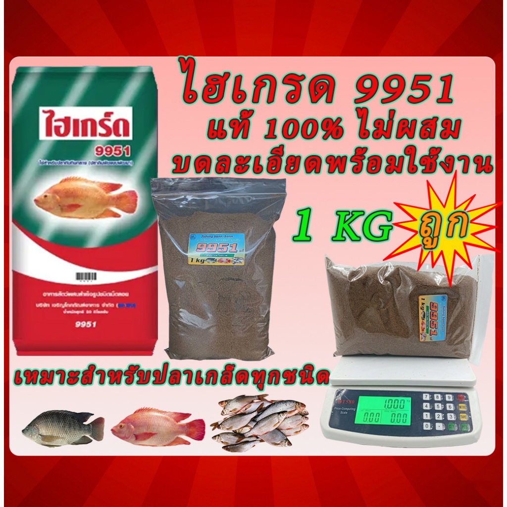 🐟ไฮเกรด 9951 บดละเอียด CP แท้100% ไม่ผสม หัวเชื้อตกปลา โปรตีนสูง  แพ็ก 1 kg เต็ม ใช้เป็นเหยื่อตกปลาเกล็ดทุกชนิด