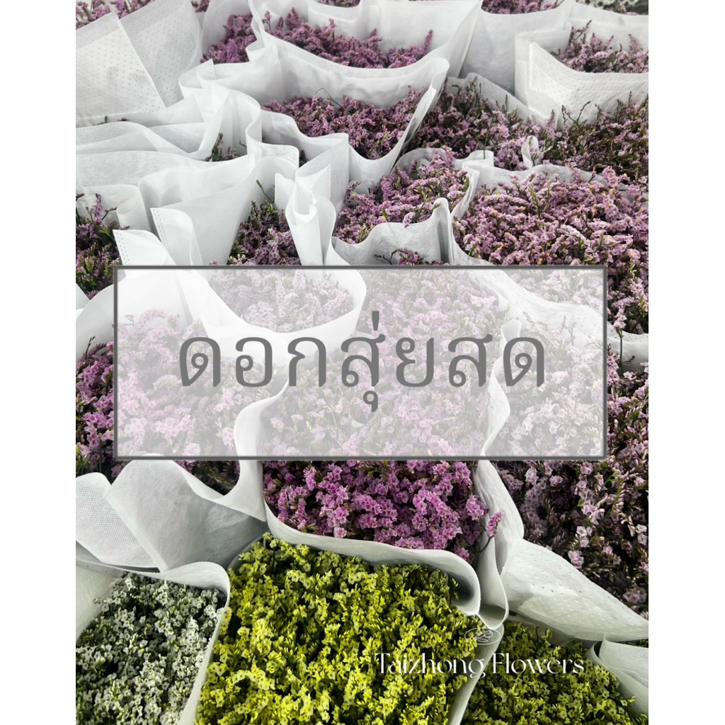 💥ส่งด่วน กทม&ปริมณฑล💥สุ่ยสด ดอกไม้สด ดอกสุ่ยสด ดอกสุ่ยแห้ง